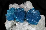 Vibrant Blue Cavansite Crystals on Stilbite - India #33693-1